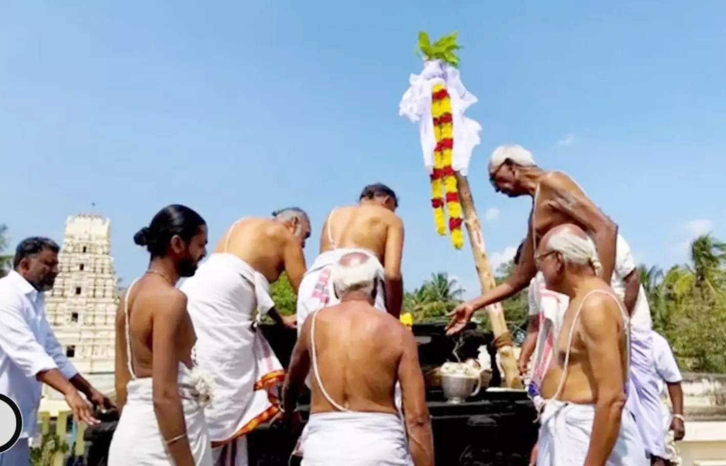 பேட்டராயசுவாமி கோவிலில் பால்கம்பம் நடும் விழா பேட்டராயசுவாமி கோவிலில் பால்கம்பம் நடும் விழா