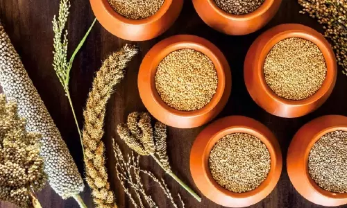 சிறுதானிய உற்பத்தியை அதிகரிக்க ரூ.82 கோடி ஒதுக்கீடு- வேளாண் பட்ஜெட்டில் அறிவிப்பு