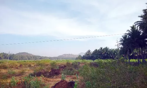 கண்டமனூர்: ஆக்கிரமிப்பில் உள்ள கண்மாயை சீரமைக்க விவசாயிகள் வலியுறுத்தல்