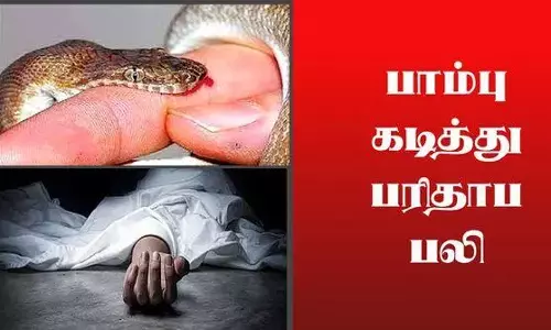 பாம்பு கடித்து தொழிலாளி பலி