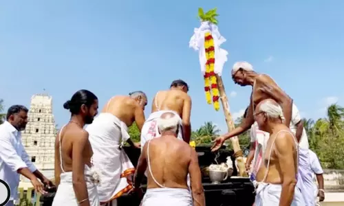 பேட்டராயசுவாமி கோவிலில் பால்கம்பம் நடும் விழா