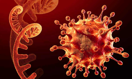 எக்ஸ்பிபி1.16 வகை தொற்றால் ஆபத்து தீவிரமாக இல்லை- சுகாதார நிபுணர்கள் தகவல்