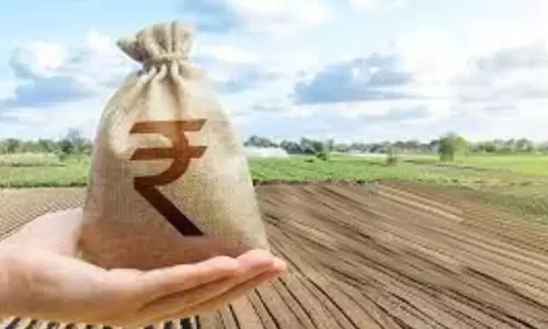 வேட்டாம்பாடி கிராம விவசாயிகளுக்கு மானிய விலையில் வேளாண் இடுப்பொருட்கள் விநியோகம்