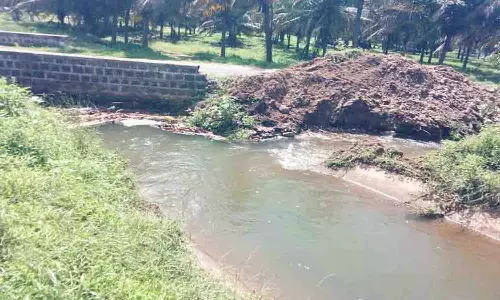 பி.ஏ.பி., வாய்க்காலில் செடிகளை அகற்றும் பணி  தீவிரம்