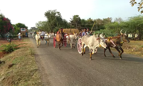 எல்கை பந்தயத்தில் சீறிபாய்ந்த ஜோடி மாடுகள்