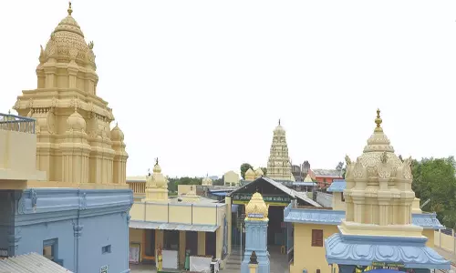 வாலாஜா தன்வந்திரி பீடத்தில் ராஜகோபுரம் திருப்பணிக்கு பூமி பூஜை