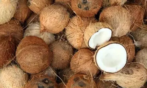 ரூ.42 ஆயிரத்துக்கு தேங்காய் ஏலம்