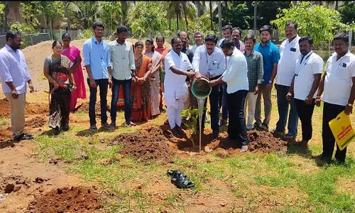 மரக்கன்றுகள் நடும் விழா