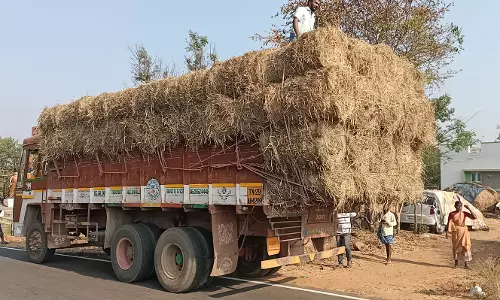 நல்லம்பள்ளியில்கால்நடைகளுக்கு தீவன பற்றாக்குறை