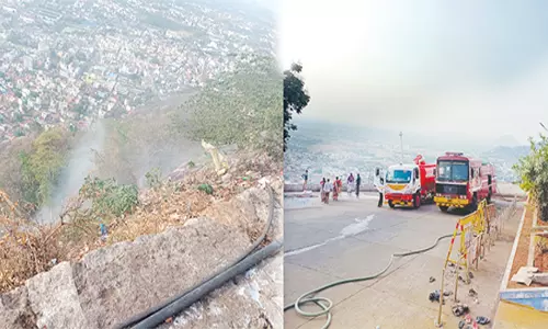 திருச்செங்கோடு மலையில் திடீர் தீ விபத்து