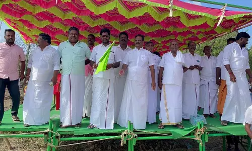 மஞ்சுவிரட்டு விழா