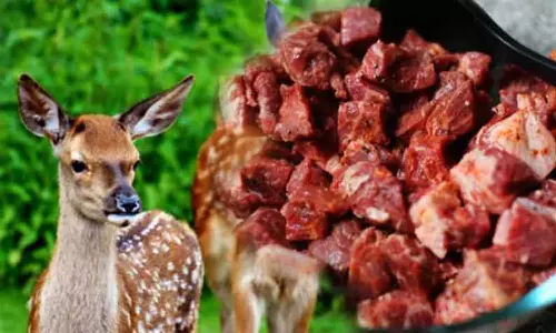 காப்பு காட்டில் மான் இறைச்சி சமைத்த 2 பேர் கைது