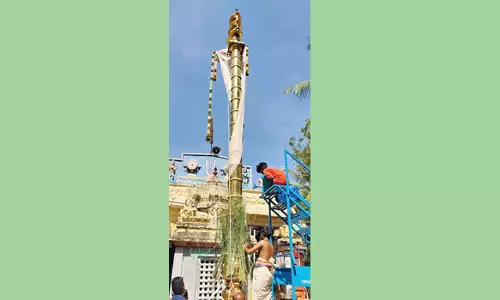 ஜெனக நாராயண பெருமாள் கோவில் திருவிழா