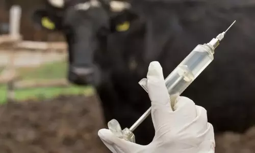 3 லட்சம் கால்நடைகளுக்கு தடுப்பூசி