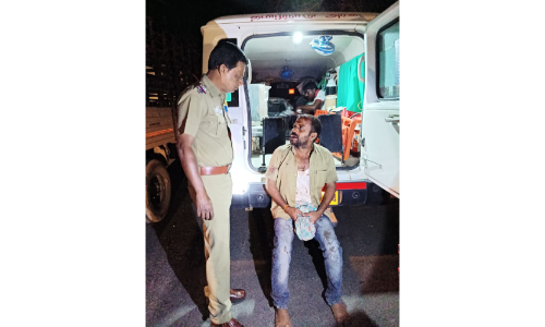 தவிடு ஏற்றி வந்த வேன் மரத்தில் மோதி விபத்து