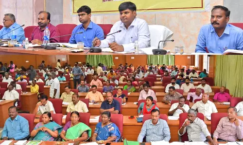 நெல்லை மாவட்டத்தில் ரூ.77½ லட்சம் மதிப்புள்ள தரமற்ற விதைகள் விற்பனைக்கு தடை- கலெக்டர் தகவல்