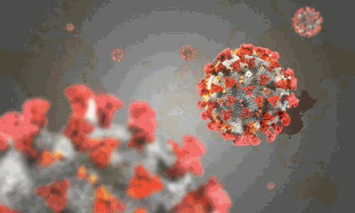 கோவையில் கொரோனா பரவல் 4.2 சதவீதம் உயர்வு