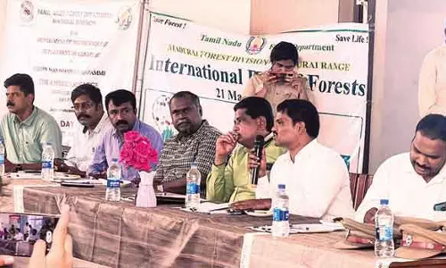 அமெரிக்கன் கல்லூரி; உலக வன நாள்