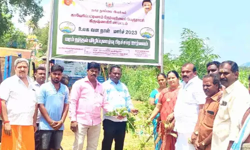 காவேரிப்பட்டினத்தில் மரக்கன்றுகள் நடும் விழா