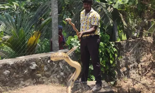 விவசாய தோட்ட கிணற்றில் இருந்து  2 கண்ணாடி விரியன் பாம்புகள் பிடிப்பட்டன