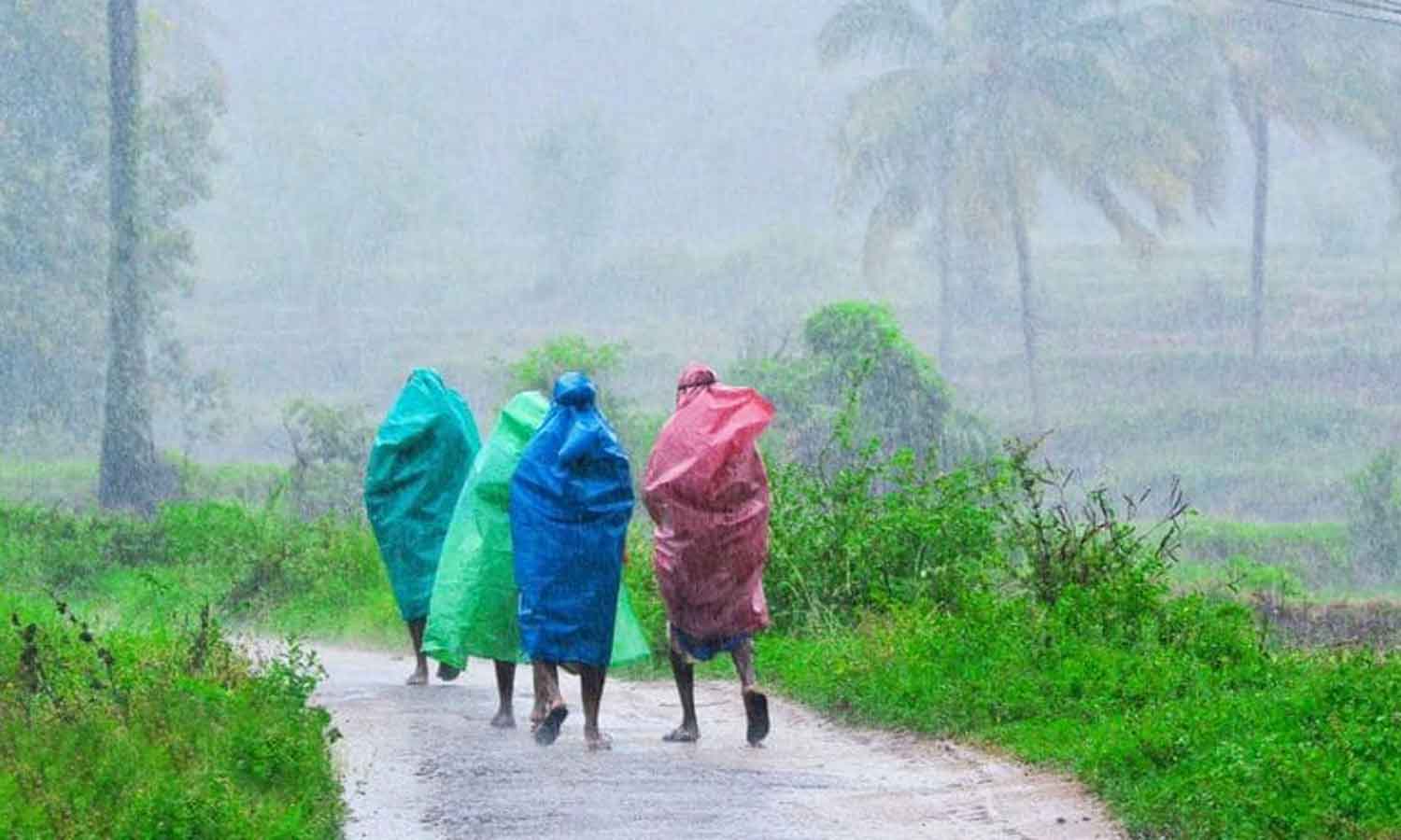 குமரி அணை பகுதிகளில் பரவலாக மழை