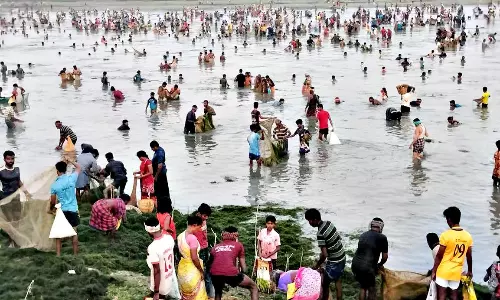 மேலூர் அருகே மீன்பிடி திருவிழாவில் திரண்ட கிராமமக்கள்- போட்டி போட்டு மீன்பிடித்தனர்