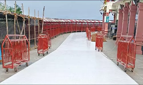 வெயிலின் தாக்கத்தை தணிக்க பழனி முருகன் கோவில் வெளிப்பிரகாரத்தில் கூலிங் பெயிண்ட்