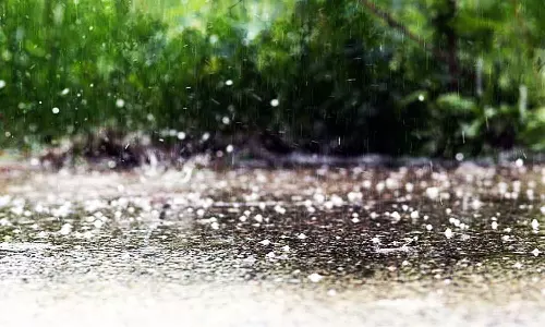 தென்காசி மாவட்டத்தில் சூறாவளி காற்றுடன் கனமழை-மரங்கள் சாய்ந்ததால் மின்தடை