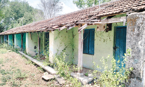 பயன்பாடு இல்லாத போலீஸ் குடியிருப்புகளை சீரமைக்க கோரிக்கை!