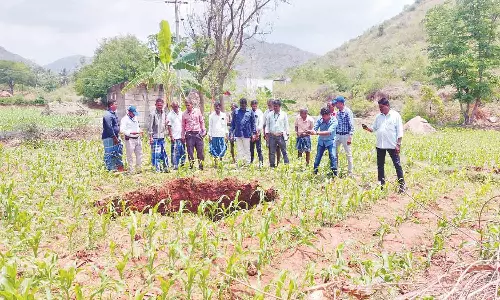 வாணியம்பாடி அருகே ஏற்பட்ட திடீர் பள்ளத்தில் புவியியல் ஆராய்ச்சியாளர்கள் ஆய்வு