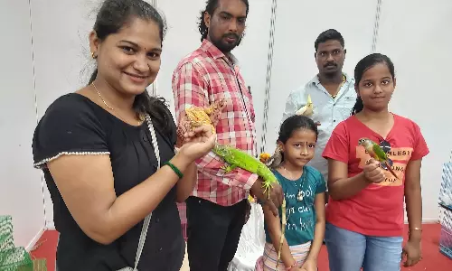 செல்லப் பிராணிகள் கண்காட்சி- விதவிதமான நாய்கள், பூனைகள், கிளிகள் பொதுமக்களை கவர்ந்தன