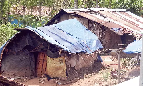 கொடைக்கானலில் அடிப்படை வசதிக்கு ஏங்கும் மலை கிராம மக்கள்!