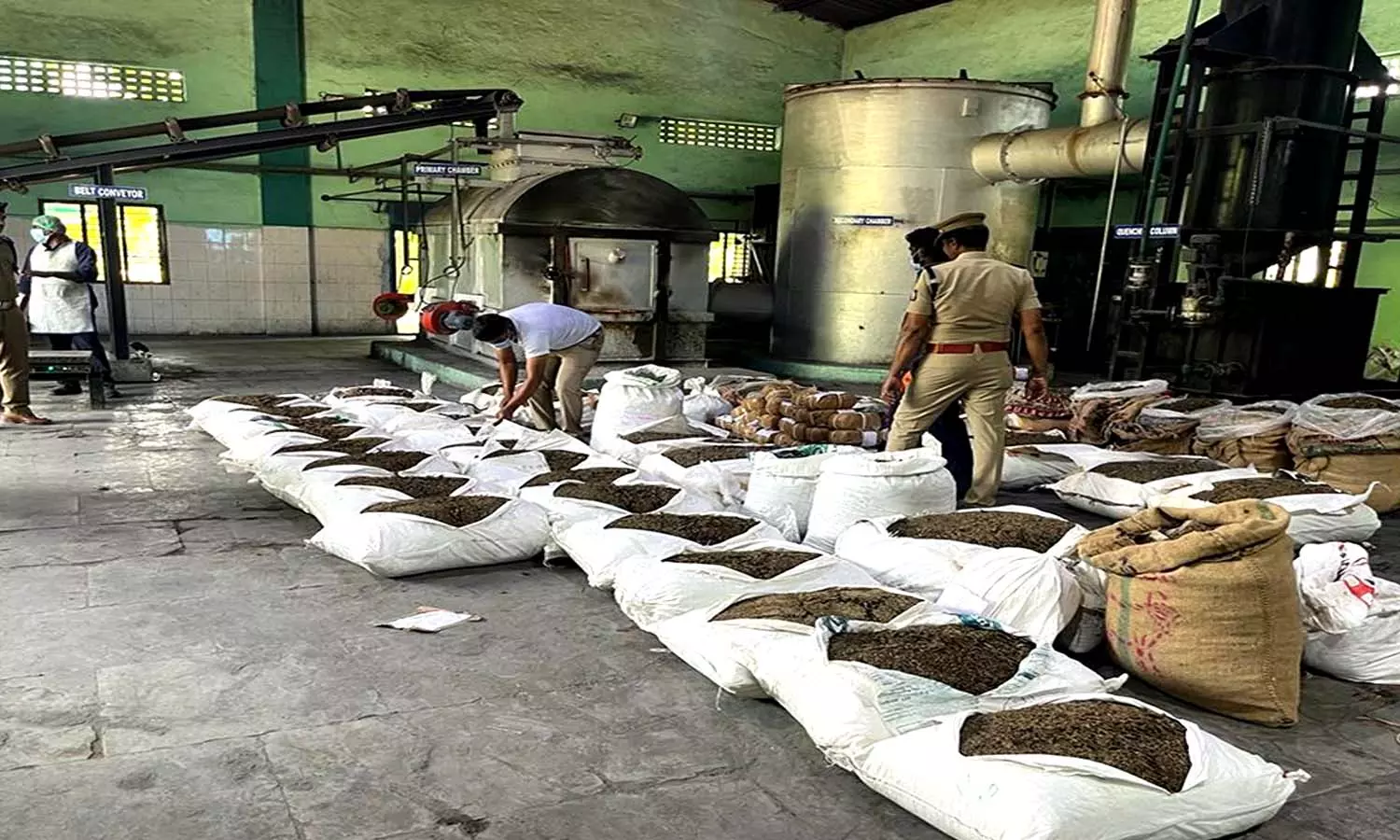 நெல்லை சரக டி.ஐ.ஜி. முன்னிலையில் ரூ.3.26 கோடி மதிப்பிலான 1,034 கிலோ கஞ்சா தீ வைத்து அழிப்பு நெல்லை சரக டி.ஐ.ஜி. முன்னிலையில் ரூ.3.26 கோடி மதிப்பிலான 1,034 கிலோ கஞ்சா தீ வைத்து அழிப்பு
