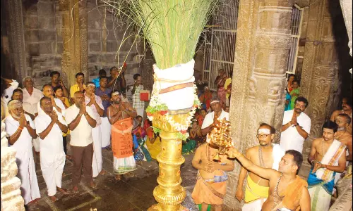 நெல்லையப்பர் கோவிலில் பங்குனி உத்திர திருவிழா கொடியேற்றம்: திரளான பக்தர்கள் தரிசனம்