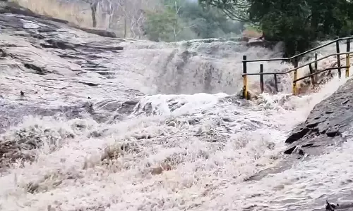 கும்பக்கரையில் 2வது நாளாக வெள்ளப்பெருக்கு- சுற்றுலா பயணிகள் குளிப்பதற்கு தடை