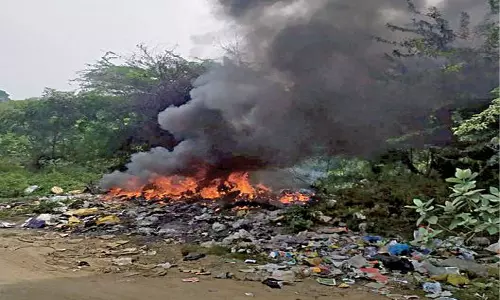 திண்டுக்கல்: குப்பைகளை எரிக்கும் துப்புரவு தொழிலாளர்கள்