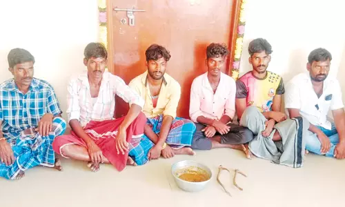 அருநூற்றுமலை வனப்பகுதியில் புள்ளிமானை வேட்டையாடிய 6 பேருக்கு ரூ.2.50 லட்சம் அபராதம்