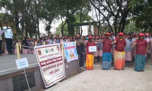 பாலக்கோடு தேர்வு நிலை பேரூராட்சியில்  மாபெரும் தூய்மை பணி