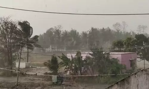 தருமபுரி மாவட்டத்தில் பலத்த காற்றுடன் மழை