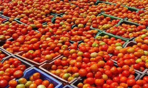 வெள்ளகோவில் வாரச்சந்தையில் ஒரு கிலோ தக்காளி ரூ.10-க்கு விற்பனை