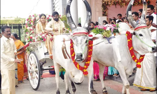தாலி கட்டிய கையோடு மனைவியை மாட்டு வண்டியில் ஊர்வலமாக அழைத்துச்சென்ற டாக்டர்