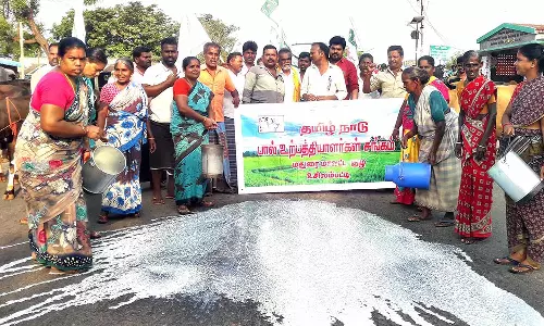 உசிலம்பட்டி அருகே சாலையில் பாலை கொட்டி உற்பத்தியாளர்கள் போராட்டம்