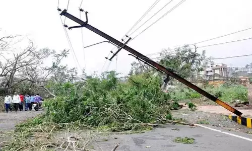 கம்பம்: சூறைக்காற்றால் முறிந்து விழுந்த மின்கம்பங்கள்