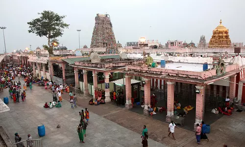 பழனி முருகன் கோவிலில் பங்குனி உத்திர திருவிழா நாளை கொடியேற்றத்துடன் தொடக்கம்