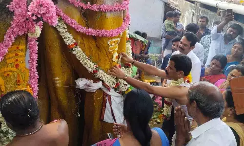 மழை வேண்டி அரச-வேம்பு மரத்திற்கு திருமணம்