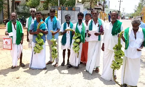 சூறாவளி காற்றால் சேதம்- இழப்பீடு கேட்டு வாழைத்தார்களுடன் கலெக்டர் அலுவலகம் வந்த விவசாயிகள்