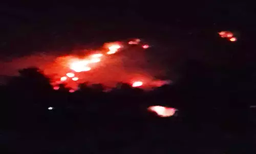 ஏலகிரி மலையில் 6 இடங்களில் தீ விபத்து