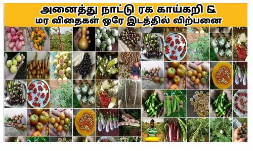 இணையவழி மூலம் விற்பனை செய்யப்படும் விதைகளை விவசாயிகள் வாங்க வேண்டாம்- இயக்குனர் தகவல்