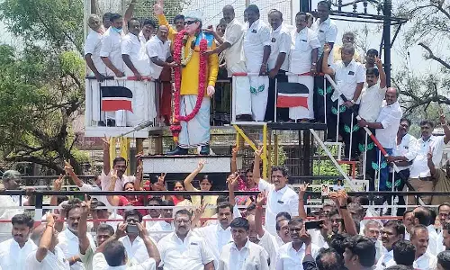 திருப்பூரில் அ.தி.மு.க.வினர்  பட்டாசு வெடித்து இனிப்பு வழங்கி கொண்டாட்டம்