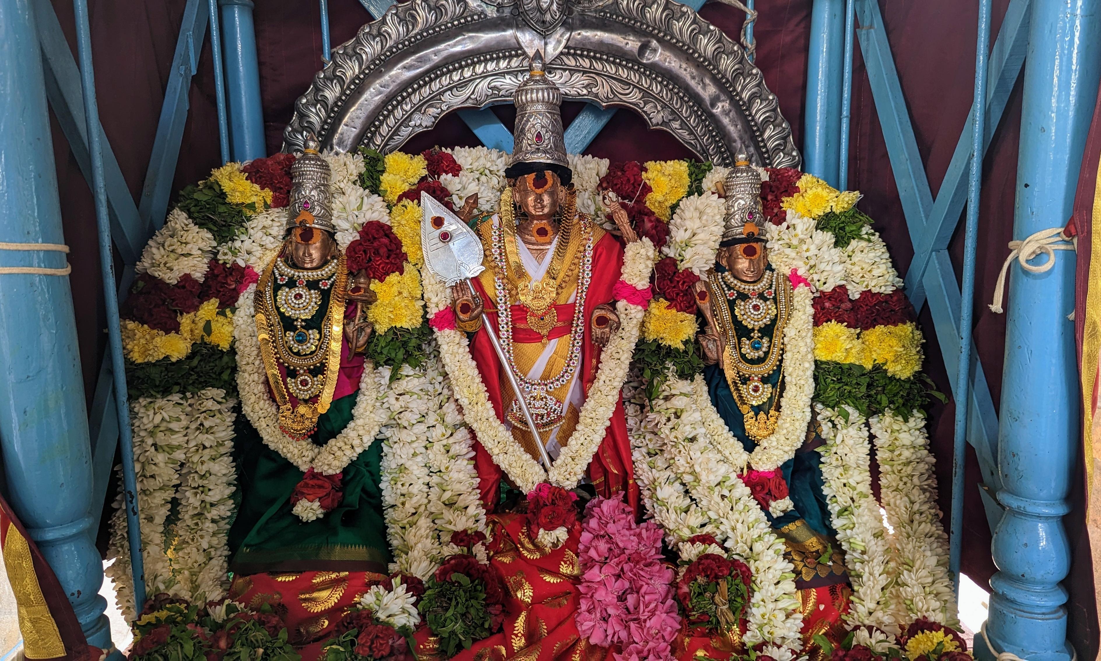 பழனி முருகன் கோவிலில் இன்று அரோகரா கோஷம் முழங்க பங்குனி உத்திர கொடியேற்றம்